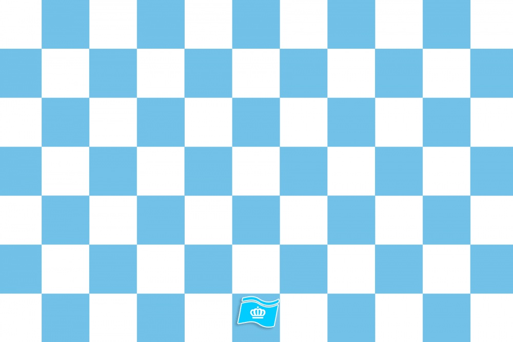Vlag geblokt Wit en Baby Blauw 020x030 cm