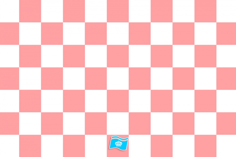 Vlag geblokt Wit en Baby Roze 225x350 cm