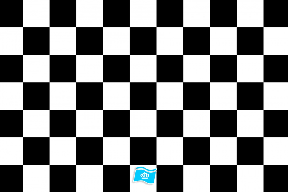 Vlag geblokt wit en zwart, racevlag 050x075 cm