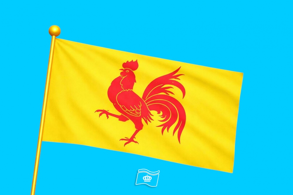 Vlag Gewest Waals 070x100 cm