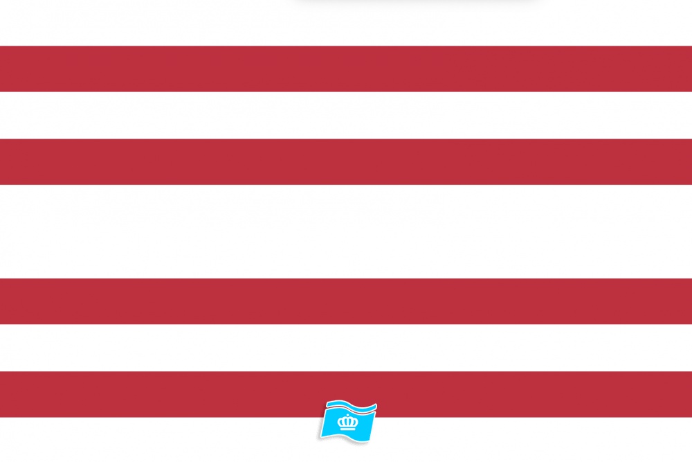 Vlag Gorinchem 70x100 cm