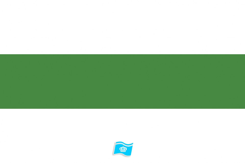 Vlag Groningen stad 70x100 cm