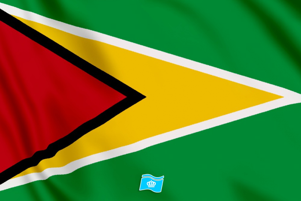 Vlag Guyana 100x70