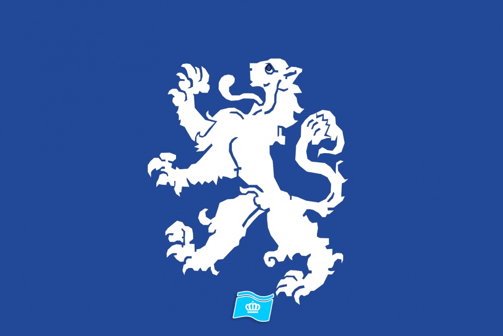 Vlag Heemskerk 70x100 cm
