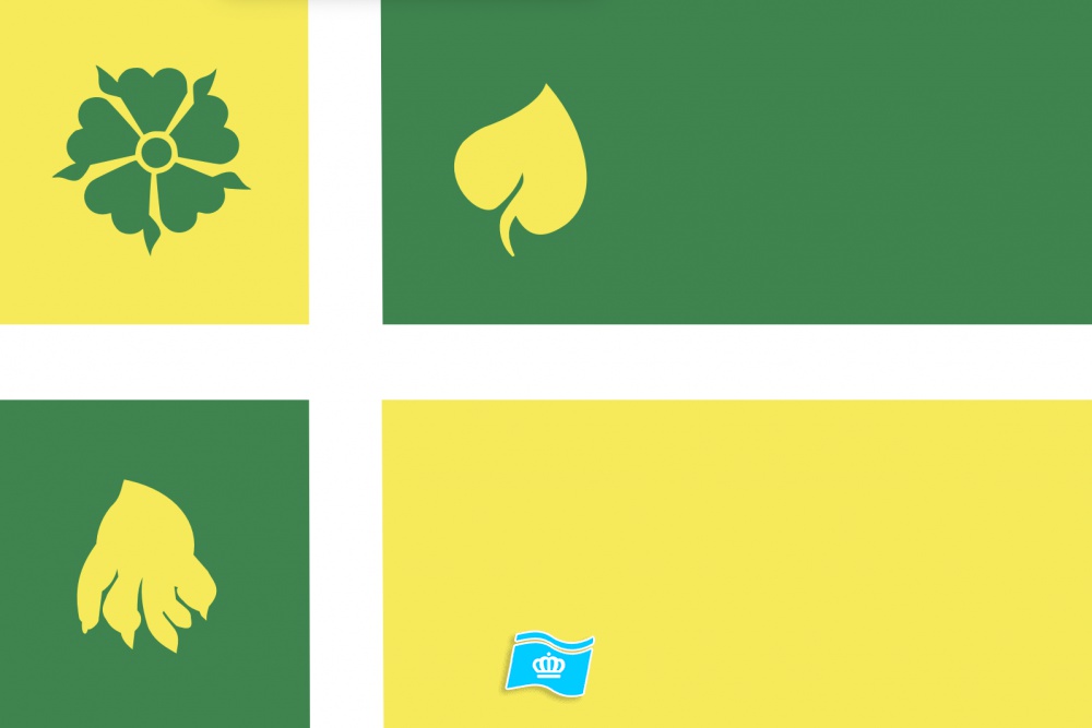 Vlag Hof van Twente 70x100 cm