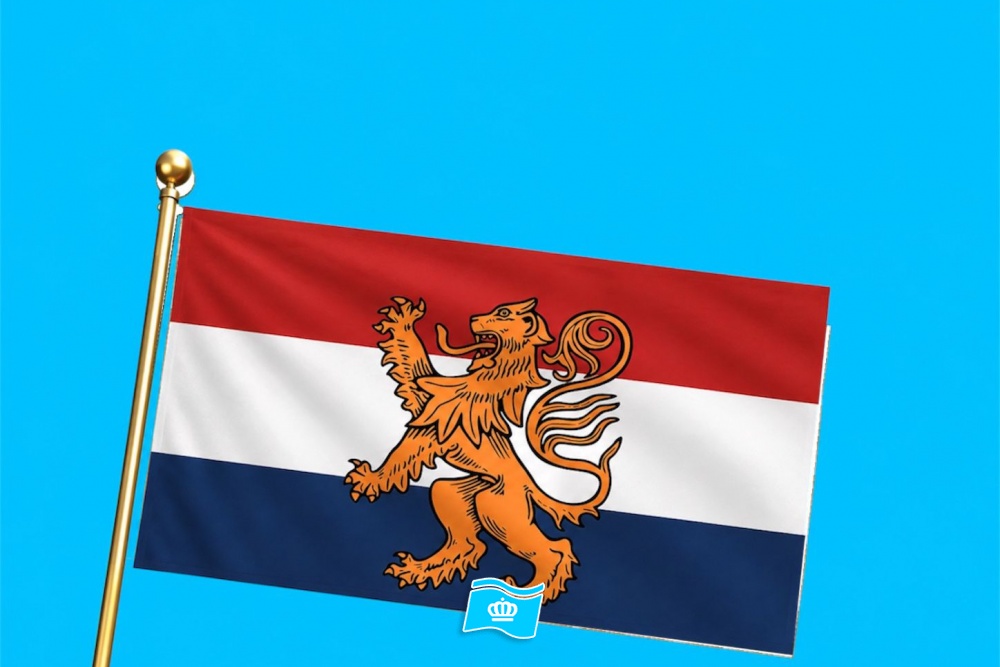 Vlag Holland Leeuw 2 020x030 cm