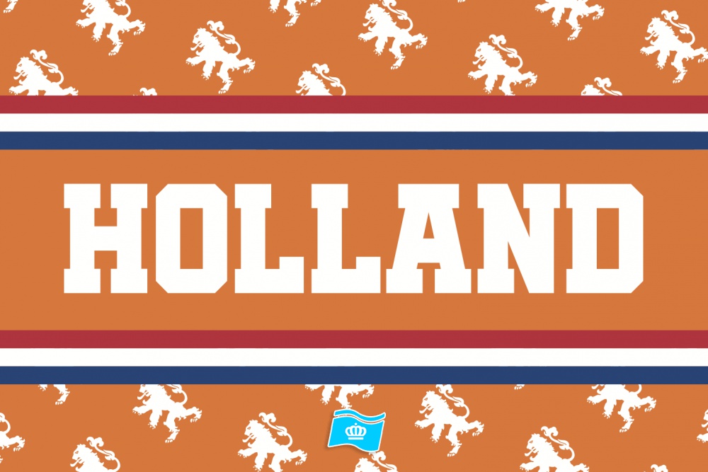 Vlag Holland versie 2 010x015 cm