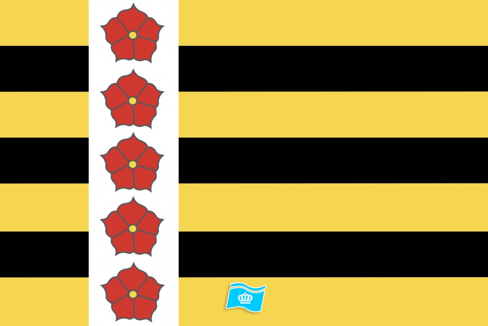 Vlag Horst aan de Maas 70x100 cm