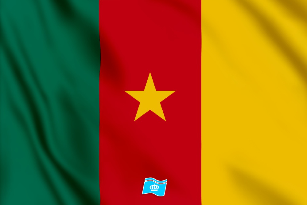 vlag Kameroen 100x70
