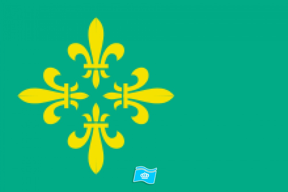 Vlag Midden-Drenthe 70x100 cm