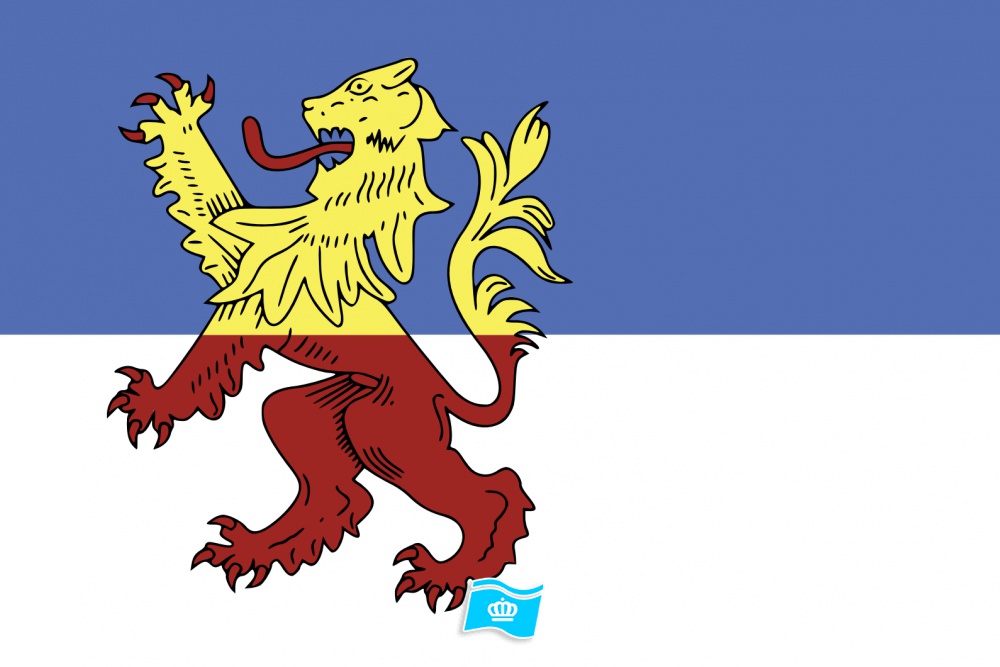 Vlag Neder-Betuwe 070x100 cm