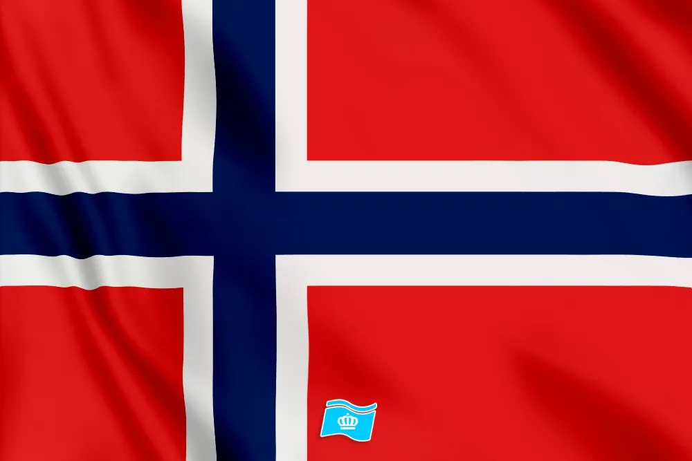 Vlag Noorwegen 70x100 cm uitverkoop