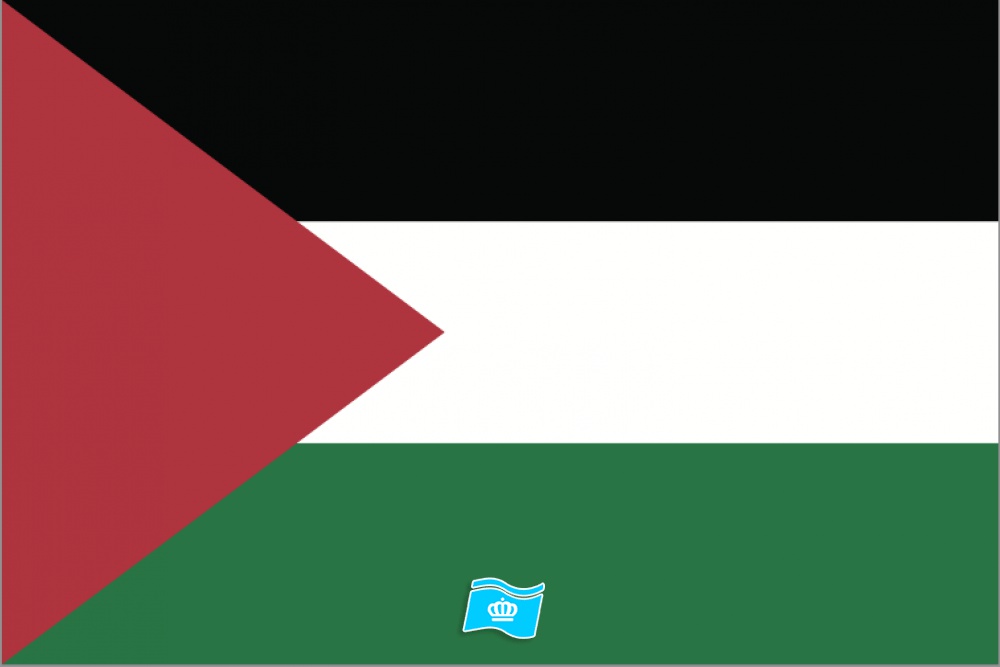 Vlag Palestina 70x100 cm