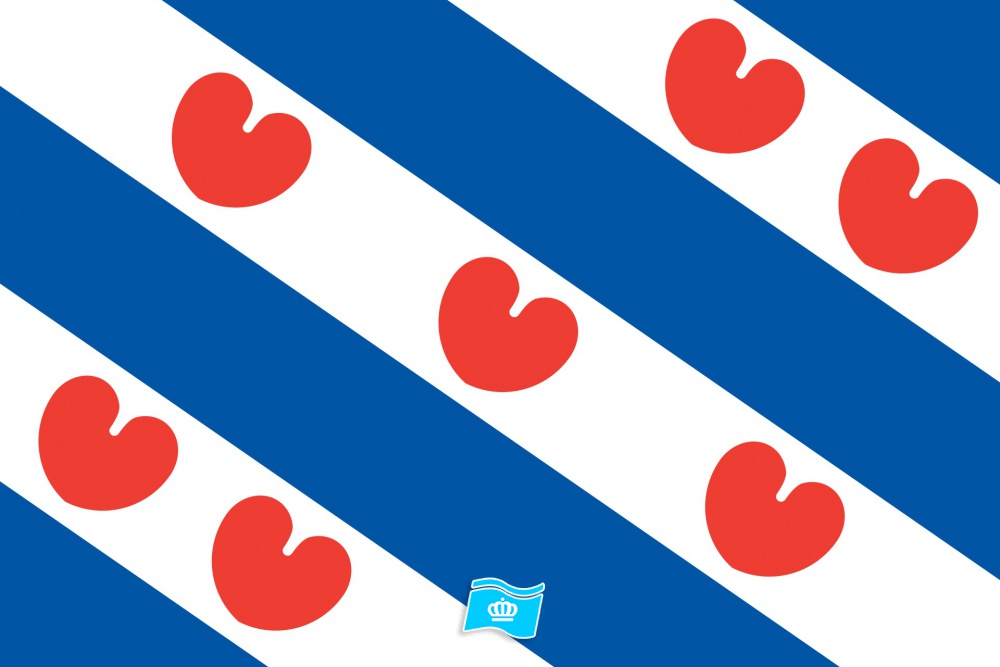 Vlag provincie Friesland 70x100 cm
