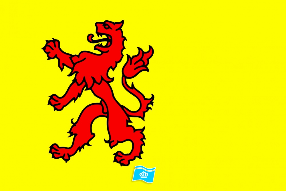 Vlag provincie Zuid-Holland 70x100 cm