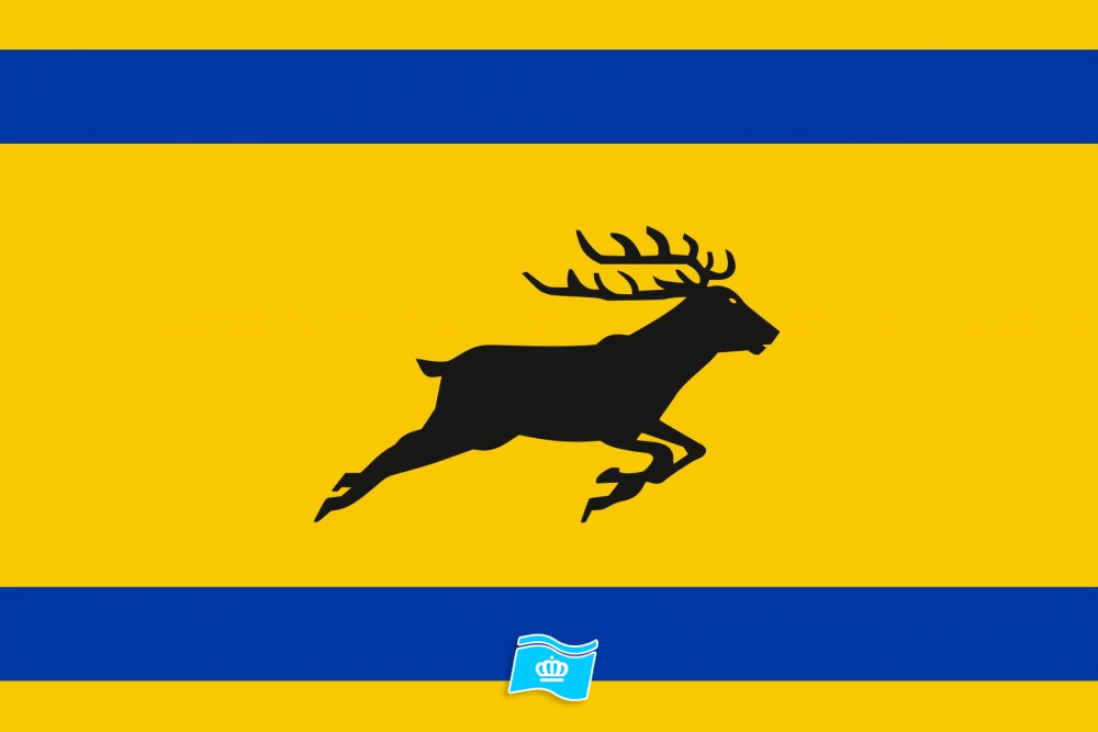 Vlag Regio Veluwe 70x100 cm