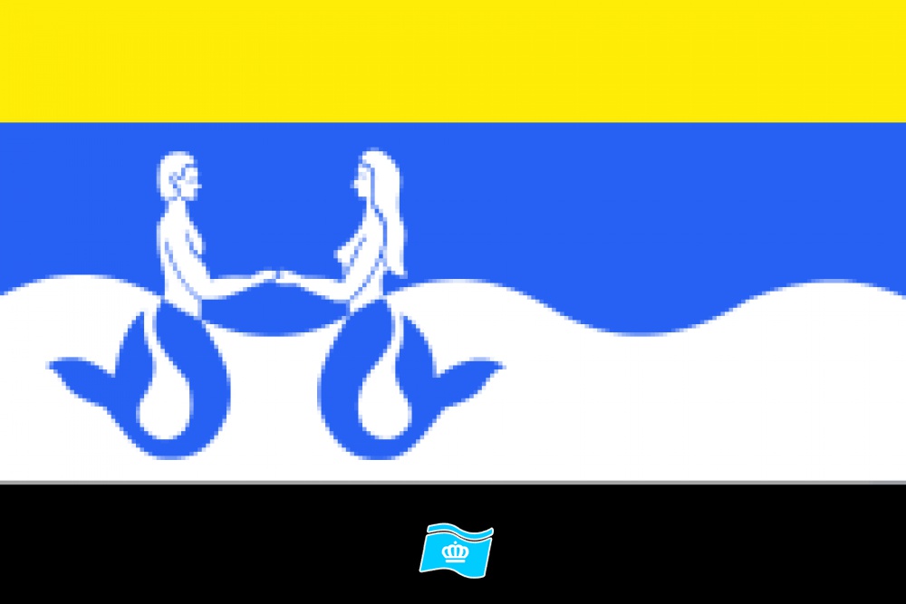 Vlag Schouwen-Duiveland 70x100 cm