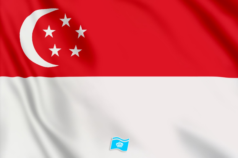 vlag Singapore 100x70