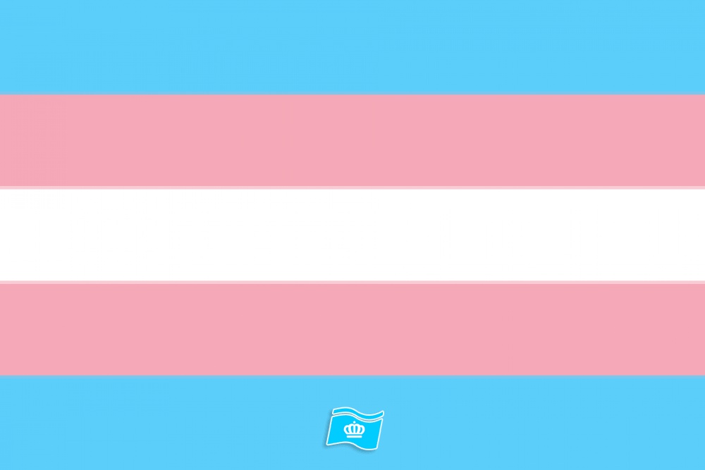 Vlag Transgender 70x100 cm