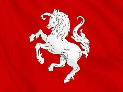 Vlag Twentse Ros 100x150 cm uitverkoop