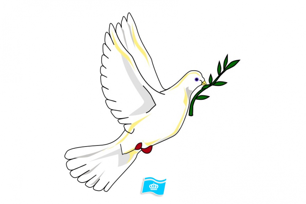Vlag Vredes duif wit 70x100 cm