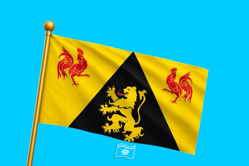 Vlag provincie Waals-Brabant 200x300 cm