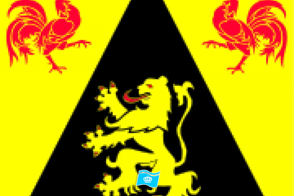 Vlag Waals-Brabant 70x100 cm