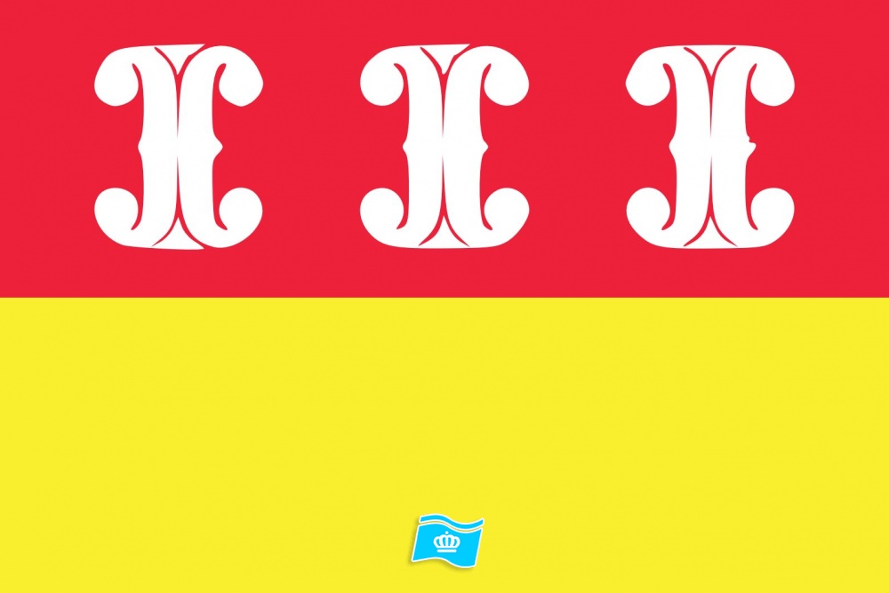 Vlag Wijk bij Duurstede 200x300 cm