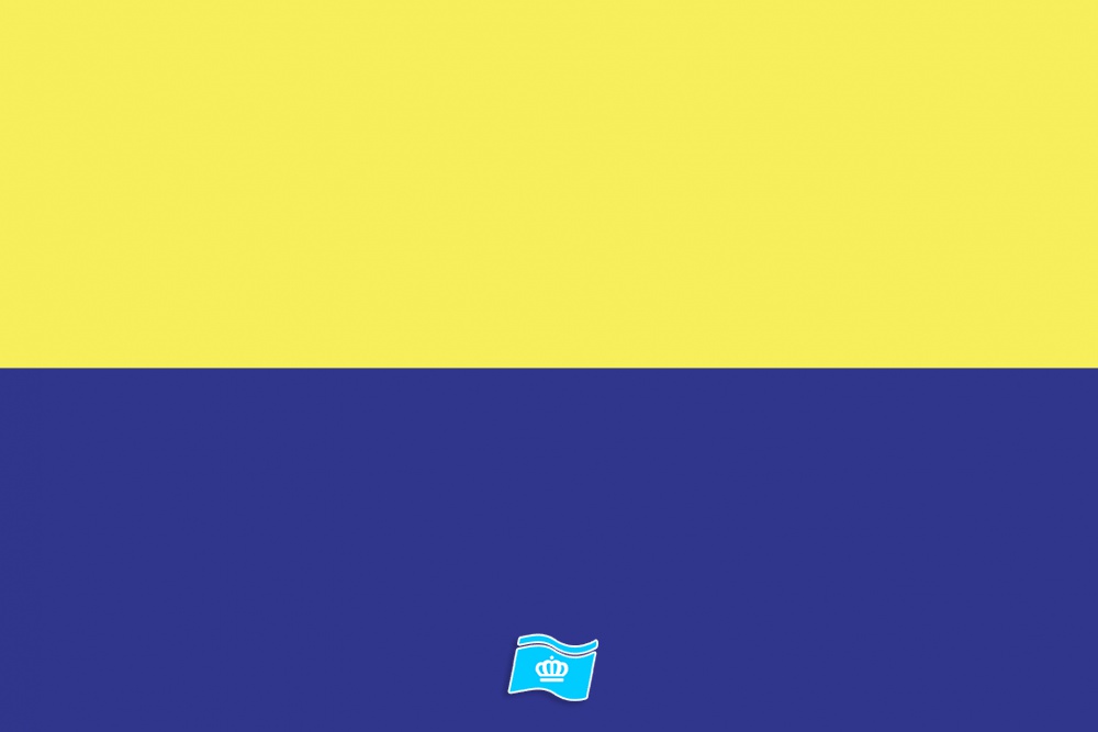 Vlag Zandvoort 70x100 cm