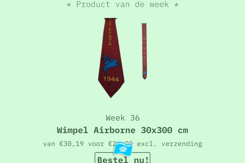 Wimpel Airborne 30x300 cm