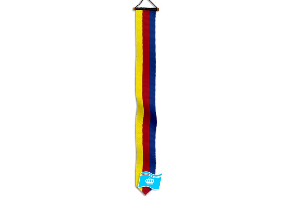 Wimpel Noord Holland 300 cm