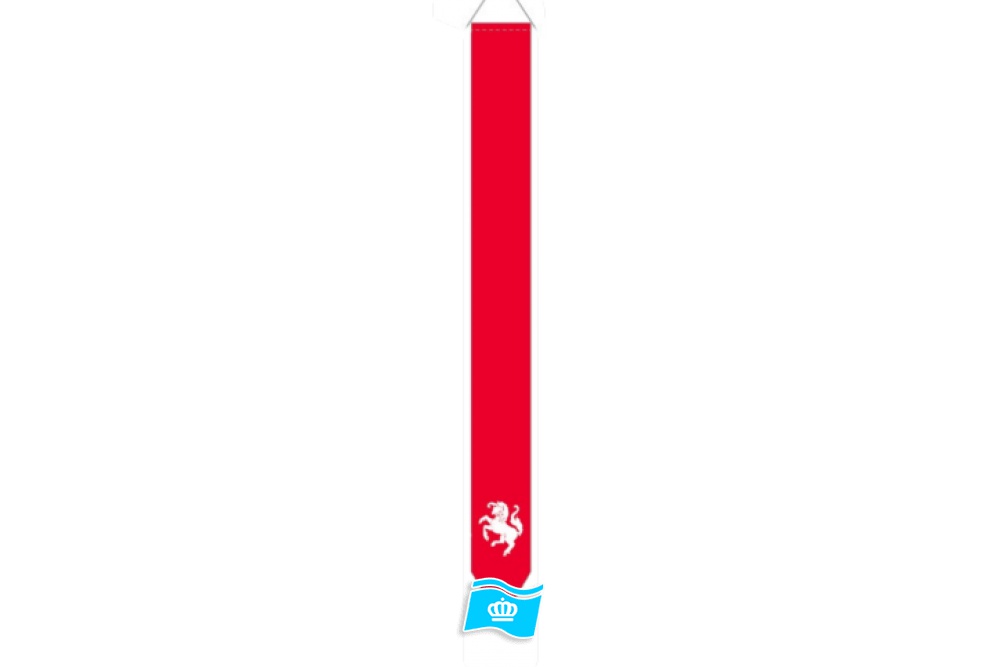 Wimpel Twentse Ros, paard onder 30x300 cm