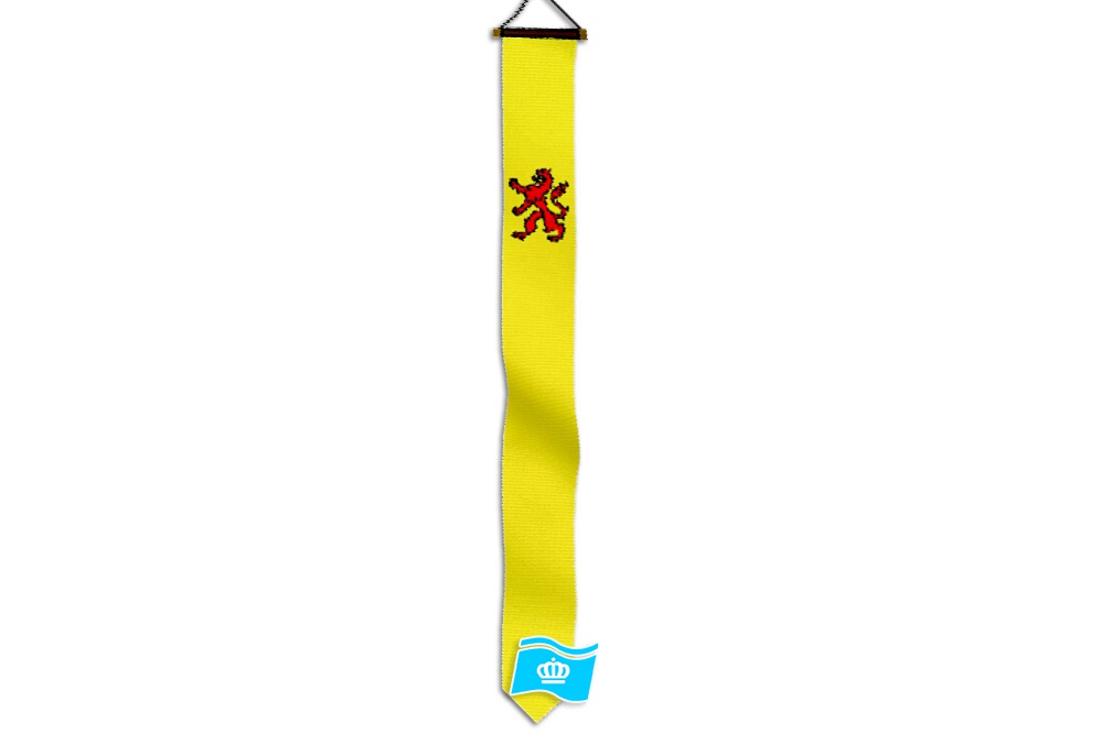 Wimpel Zuid Holland 300 cm