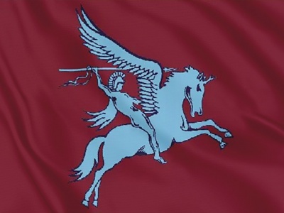Airborne vlag Pegasus 070x100 cm