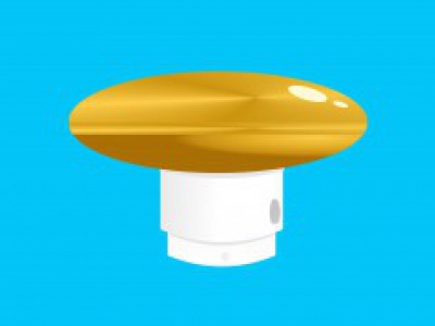 AVN Mastknop Plat Goud