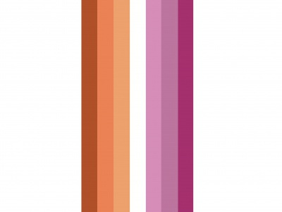 Banier Lesbisch 100x300 cm
