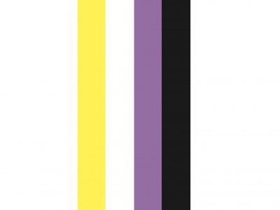 Banier Non-Binaire 100x300 cm