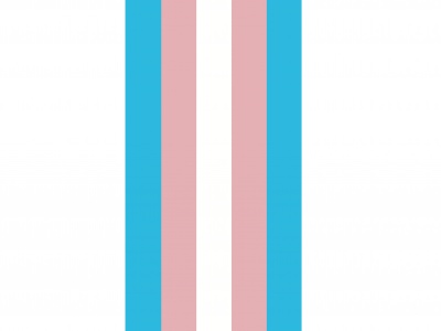 Banier Transgender 100x300 cm