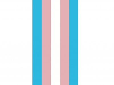Banier Transgender 100x300 cm