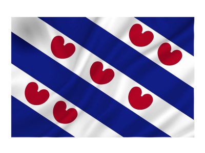 Decoratie Vlag Friesland 100x150 cm