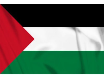Decoratie Vlag Palestina 100x150 cm