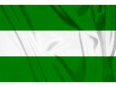 Decoratie Vlag Rotterdam 100x150 cm