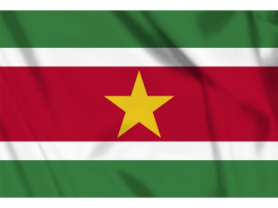 Decoratie Vlag Suriname 100x150 cm