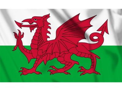 Decoratie Vlag Wales 100x150 cm