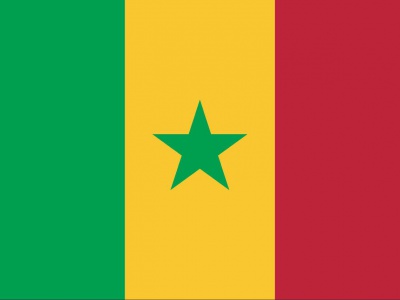 Gebruikte vlag Senegal 100x150 cm, uitverkoop Gebruikte vlag Senegal 100x150 cm, uitverkoop