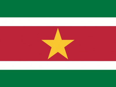 Gebruikte vlag Suriname 150x225 cm, uitverkoop Gebruikte vlag Suriname 150x225 cm, uitverkoop