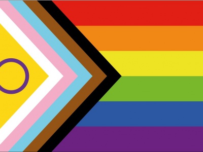 Vlag intersekse progress vlag 070x100 cm
