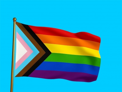 Progress-vlag 120 x 180 cm – 115 grams glanspolyester Progress-vlag 120 x 180 cm – 115 grams glanspolyester