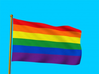 Regenboogvlag 100 x 150 cm – 115 grams glanspolyester Regenboogvlag 100 x 150 cm – 115 grams glanspolyester
