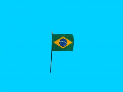 Tafelvlag Brazilie + kunststof houder